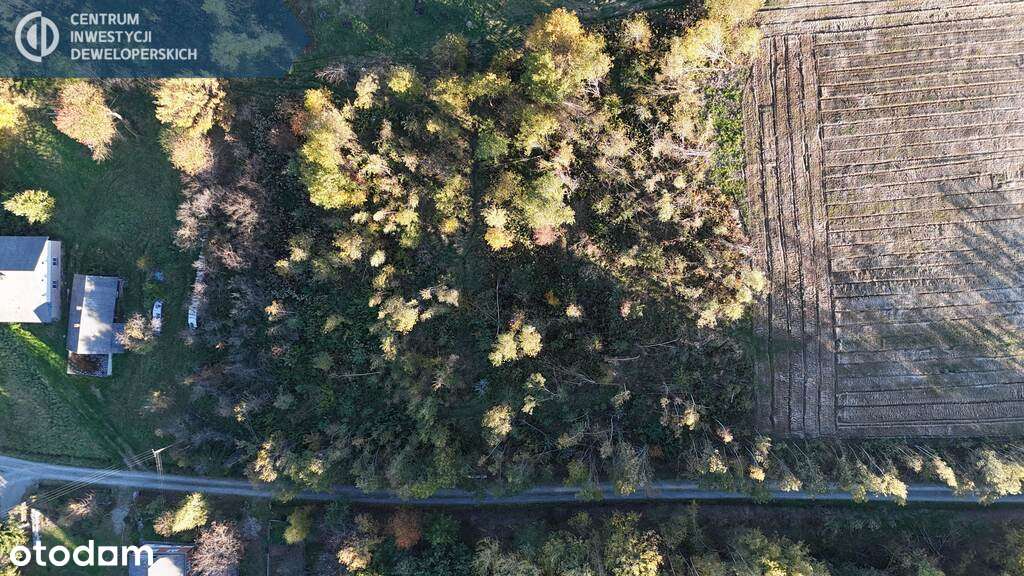 Ładna Budowlana działka 14,8a Lubenia z WZ - Pełny obrazek: 4/12