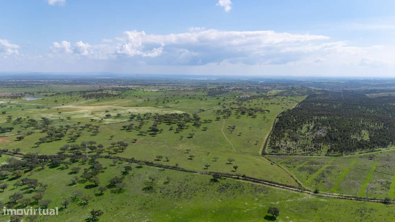Herdade do Penedo Gordo – 15 Hectares de Elevado Potencial no Alentejo - Grande imagem: 2/6
