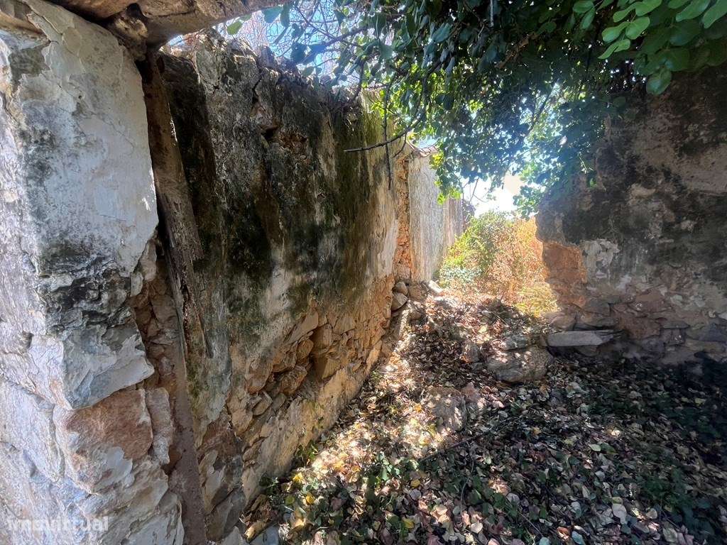 Quinta com duas casas, vistas para o mar e 11.940 m² de terreno em ...-40