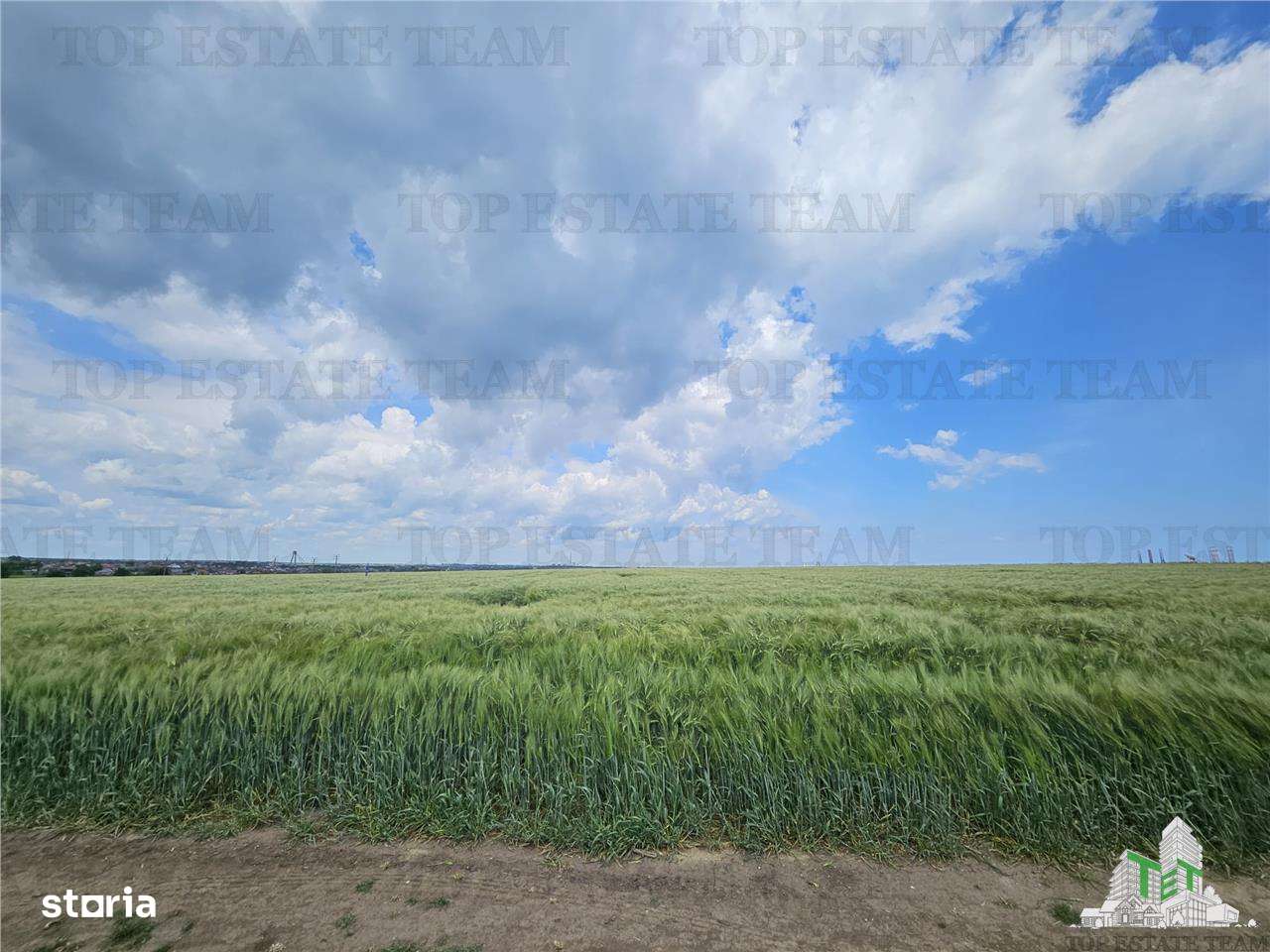 TEREN INTRAVILAN 50000 MP AGIGEA ZONA RO RO - Imagine principală: 2/10