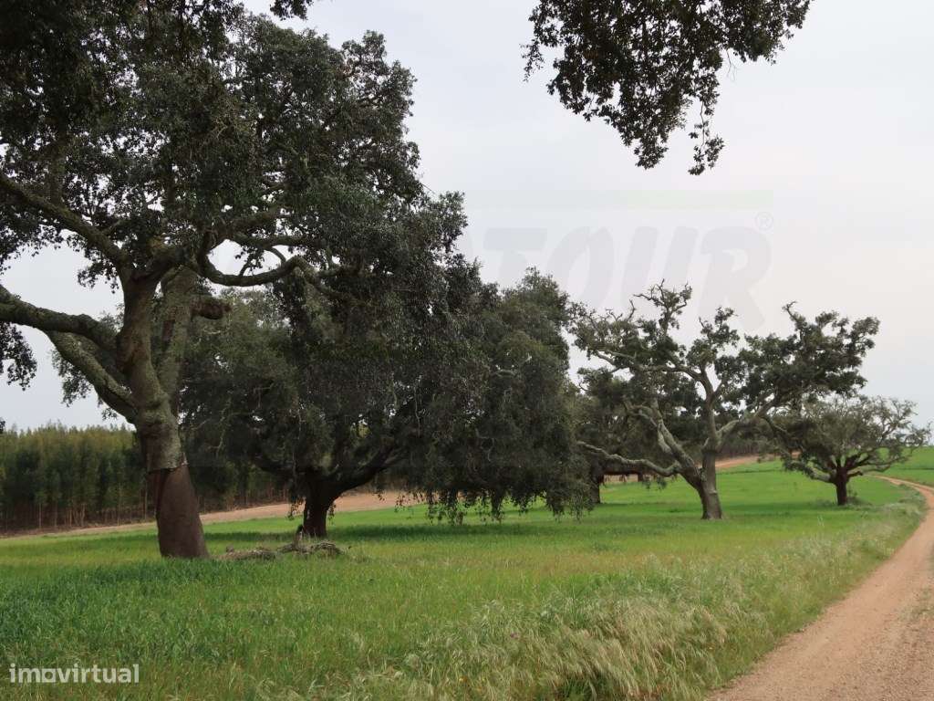 Quinta em excelente localização-37