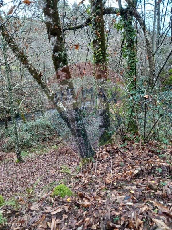 Moradia T2 para venda - Grande imagem: 4/8