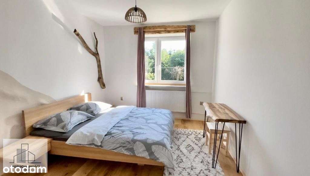 Dom gościnny w Bieszczadach - działający biznes,21-4