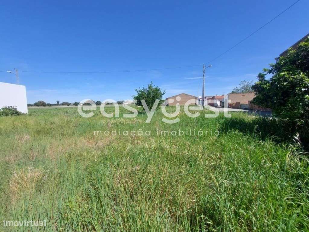 Moradia para recuperar com 2 quartos na aldeia dos Gasparões - Grande imagem: 4/14