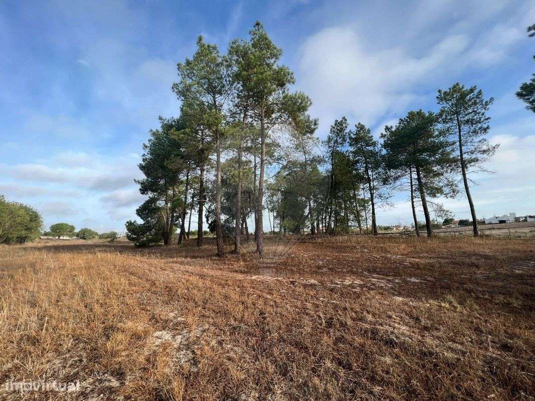 Terreno  para venda - Grande imagem: 4/10