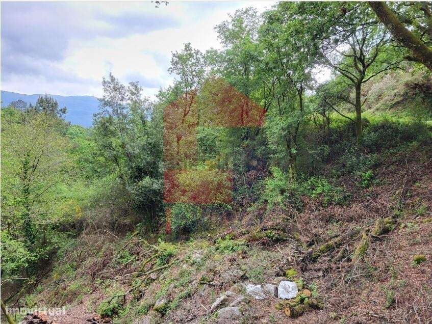 Terreno agrícola, Valdreu - Grande imagem: 4/12