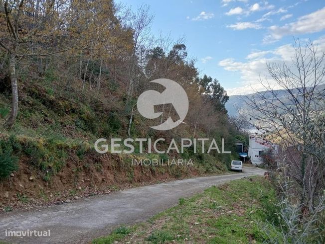 Oportunidade Única: Quinta para Habitação, Turismo ou Agricultura em M-6