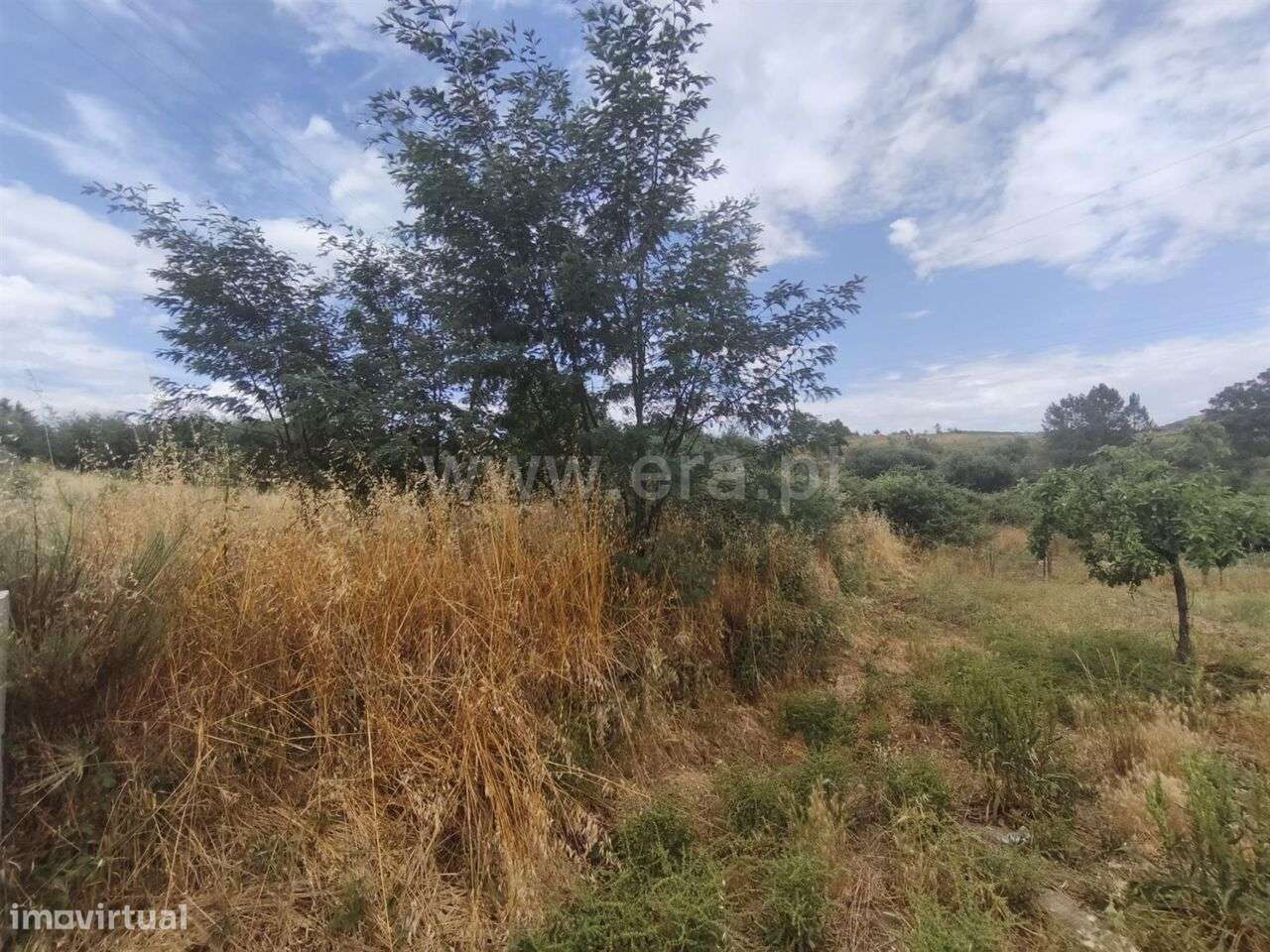 Terreno Rústico / Fundão, Silvares - Grande imagem: 2/3