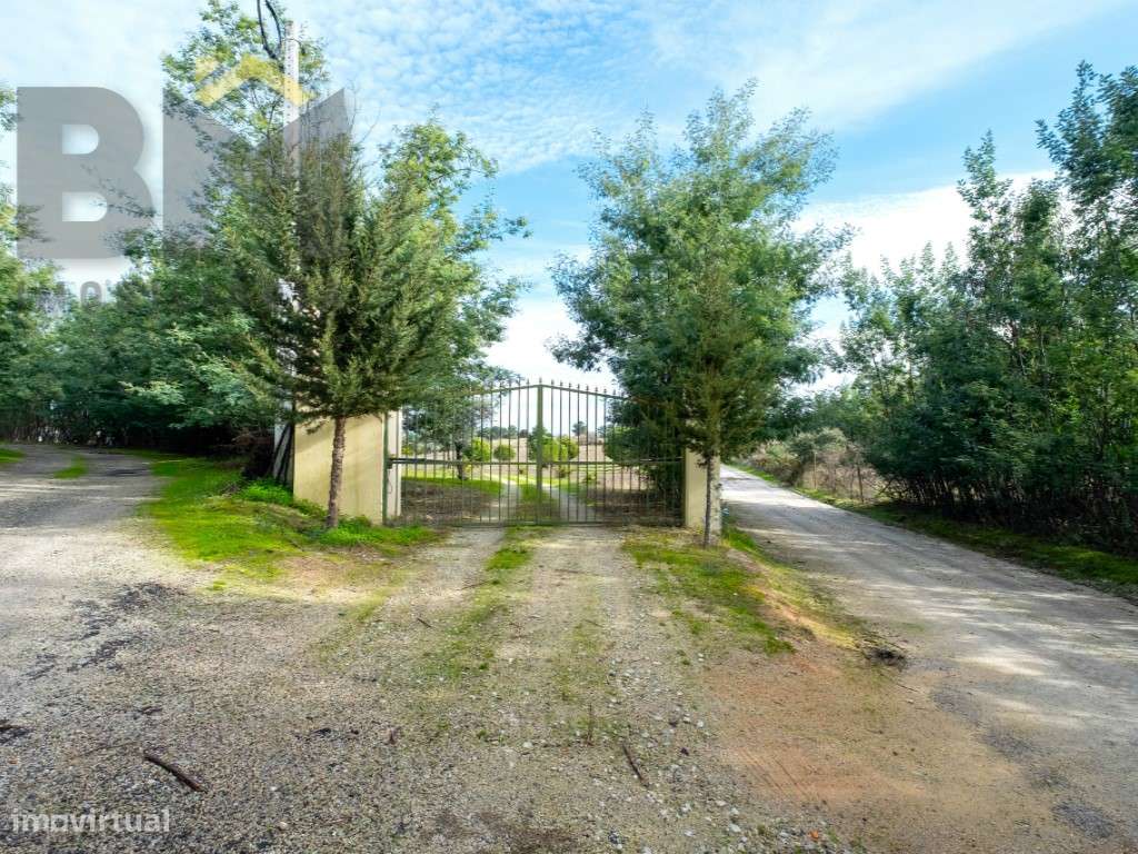 Quinta das Fontainhas - Propriedade Única em Lardosa-43