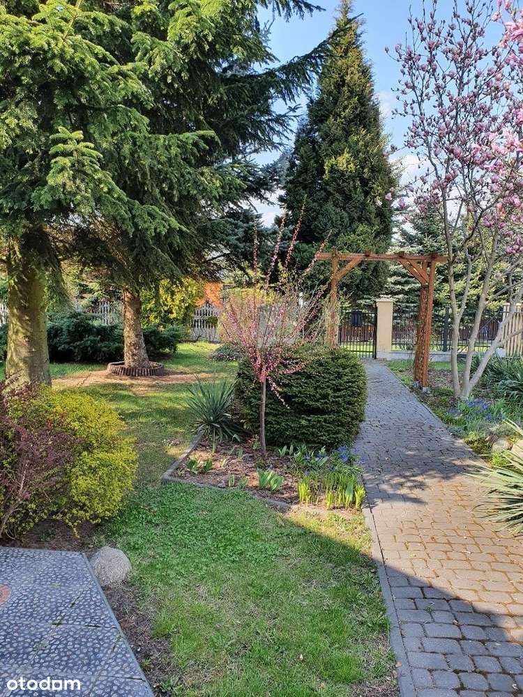 dom na sprzedaz - Pełny obrazek: 3/15