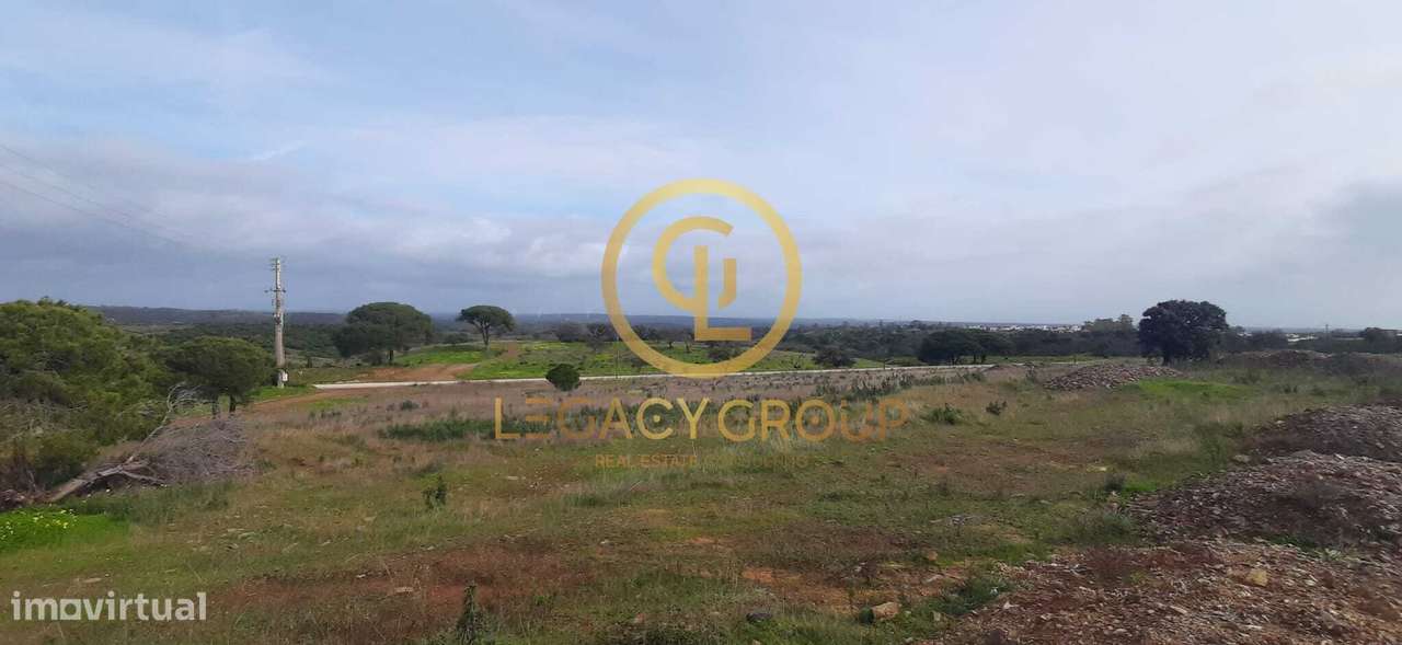 Terreno rústico de 5,3 hectares em Azinhal - Grande imagem: 4/15