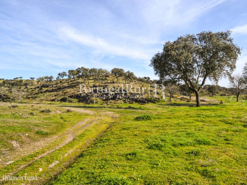 Herdade de 60 ha e monte, em Reguengos de Monsaraz-24