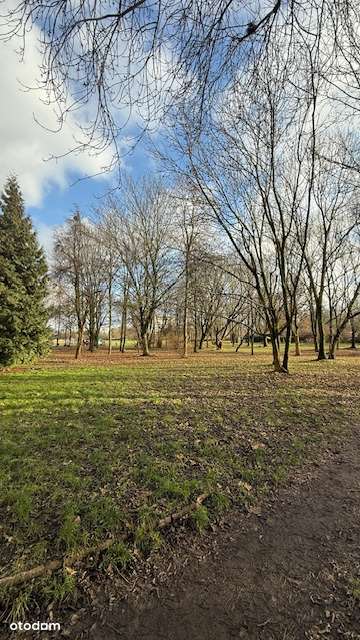 Kawalerka typu studio z balkonem z  pięknym widokiem na zieleń-8