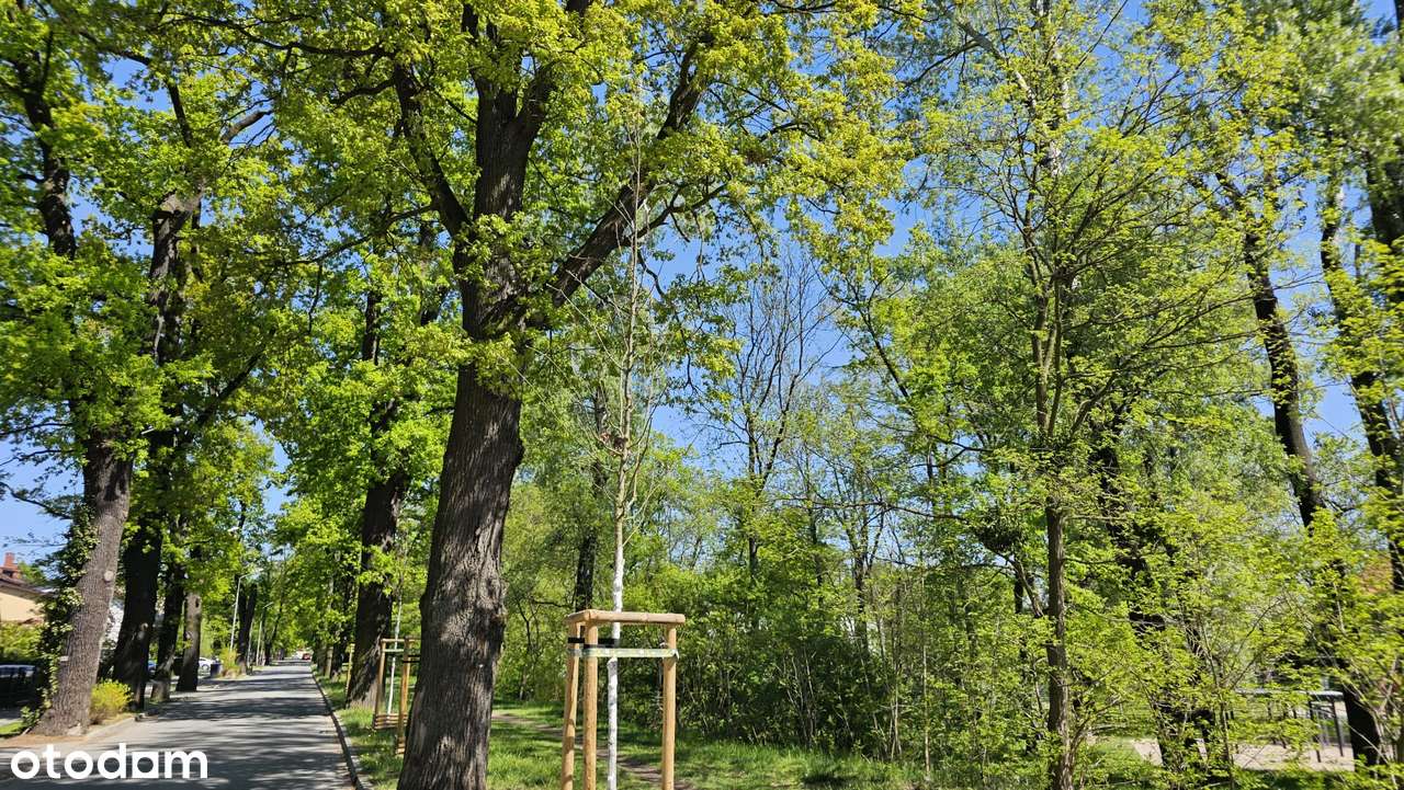 165m2 garaż ogródek dwupoziomowe Wrocław Pawłowice 0% prowizji-10