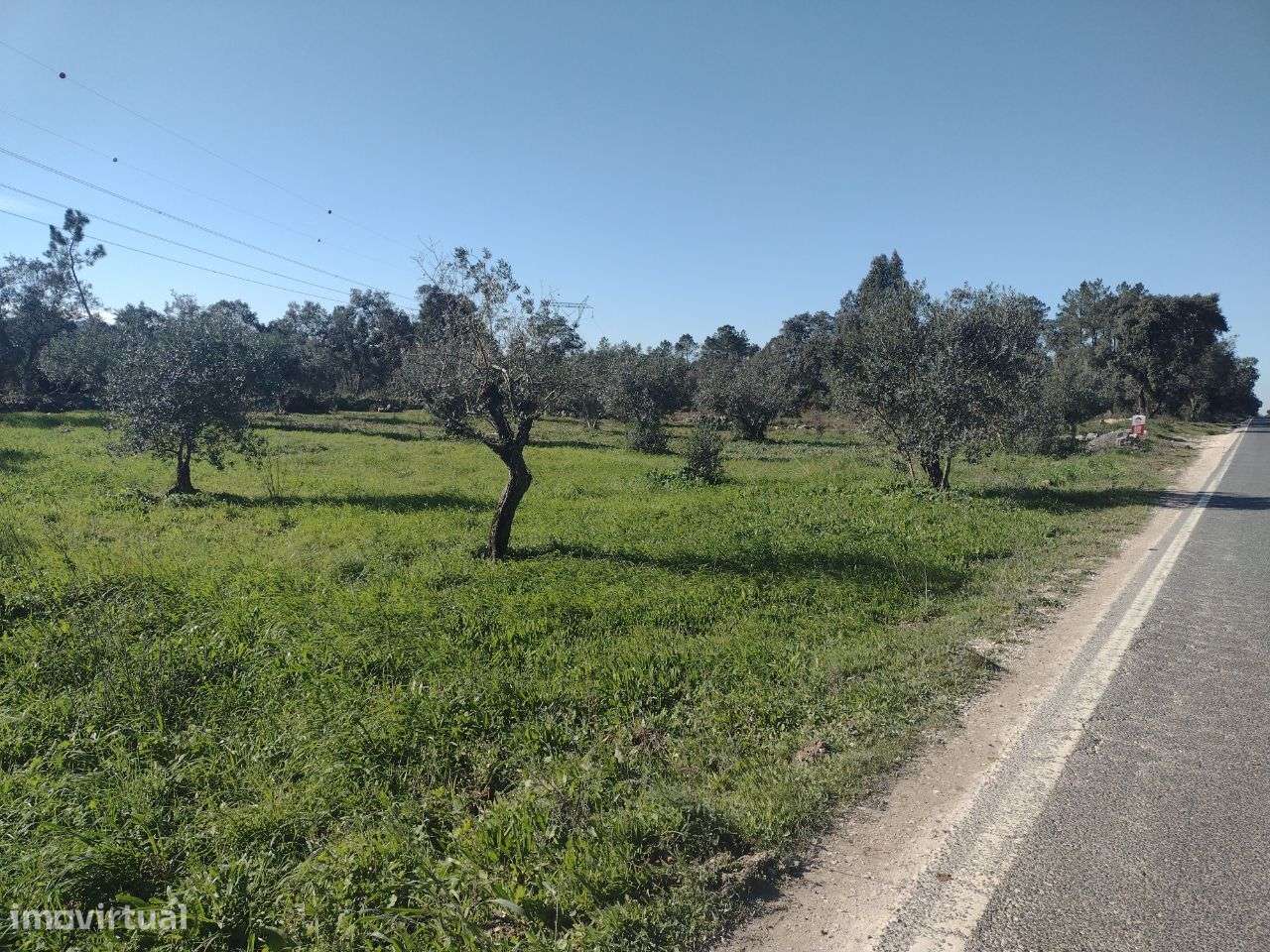 Terreno Rústico localizado em Fátima - Grande imagem: 3/13
