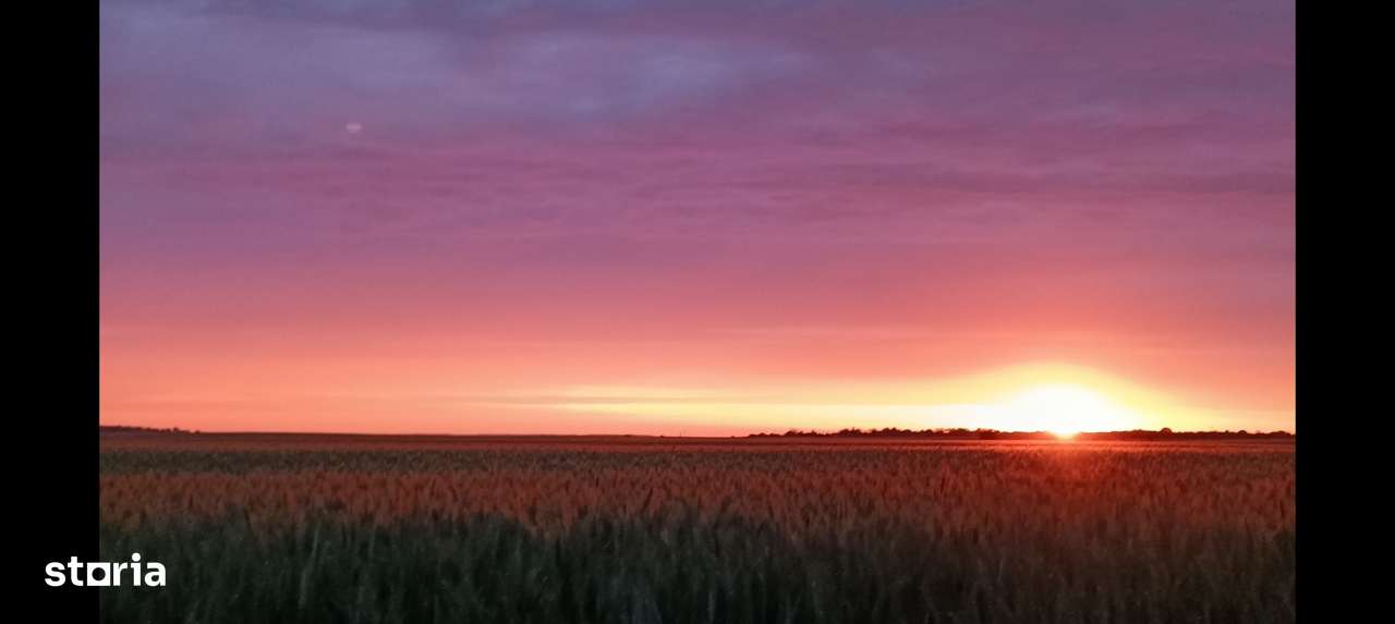 Comunitate verde, teren intravilan case – Frumușani, 13 km-A0. Superb.-9