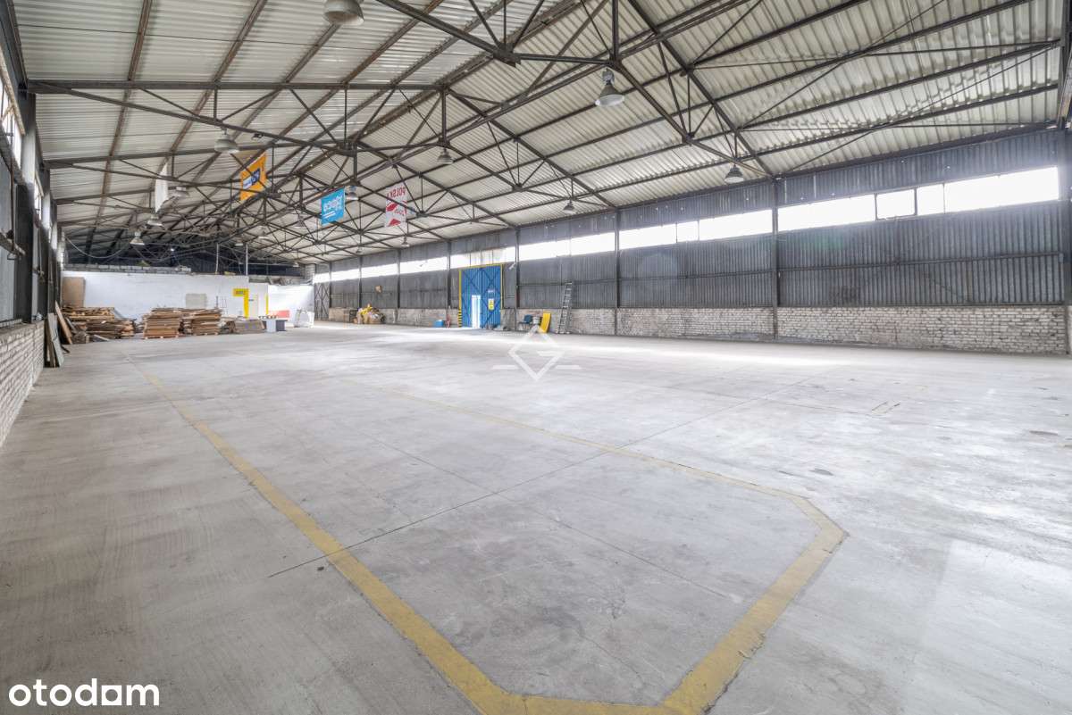 wyposażona hala| wysoki sufit|regały|parking| s7 - Pełny obrazek: 3/10
