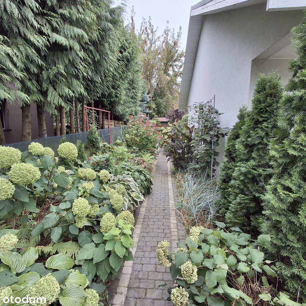 Dom całoroczny Nowy Dębiec 75m2-13