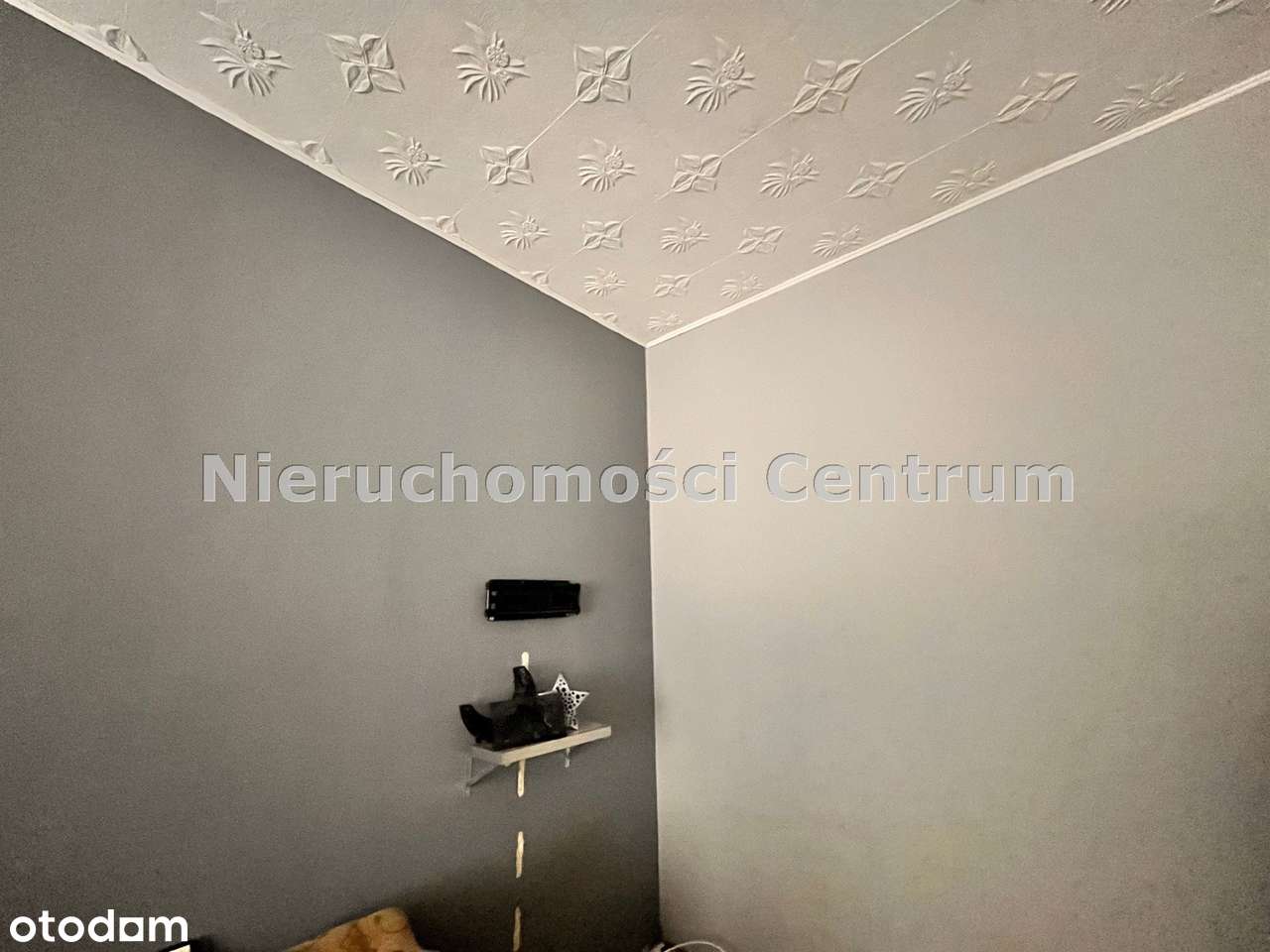 3 pokojowe mieszkanie na wysokim parterze w Śródmieściu-6