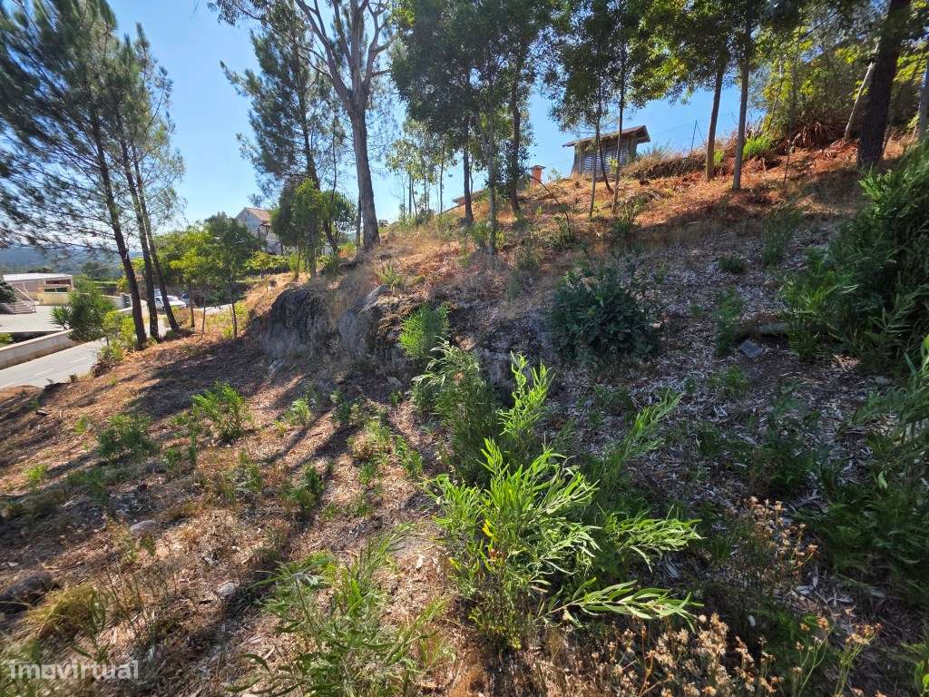 Terreno para construção, em Moreira do lima - Grande imagem: 5/8