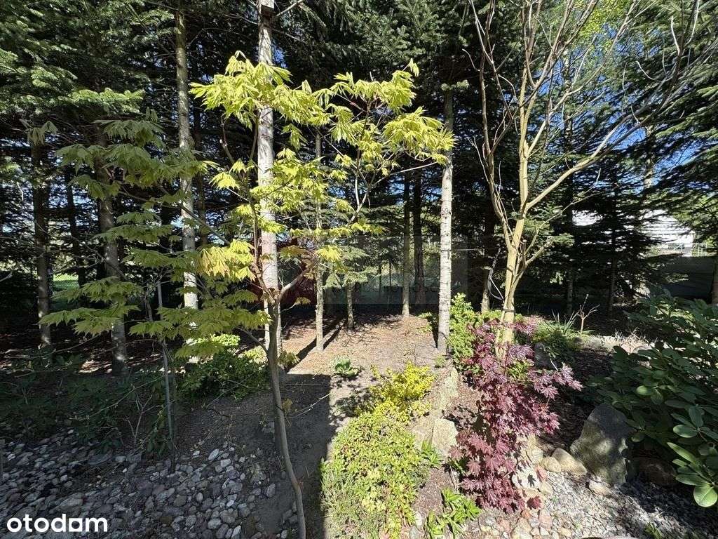 Jednorodzinny dom w Białuniu na sprzedaż 105,39 m2 - Pełny obrazek: 5/20