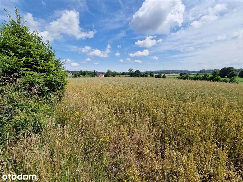 Widokowe działki | Miejscowy plan| Media w drodze-5