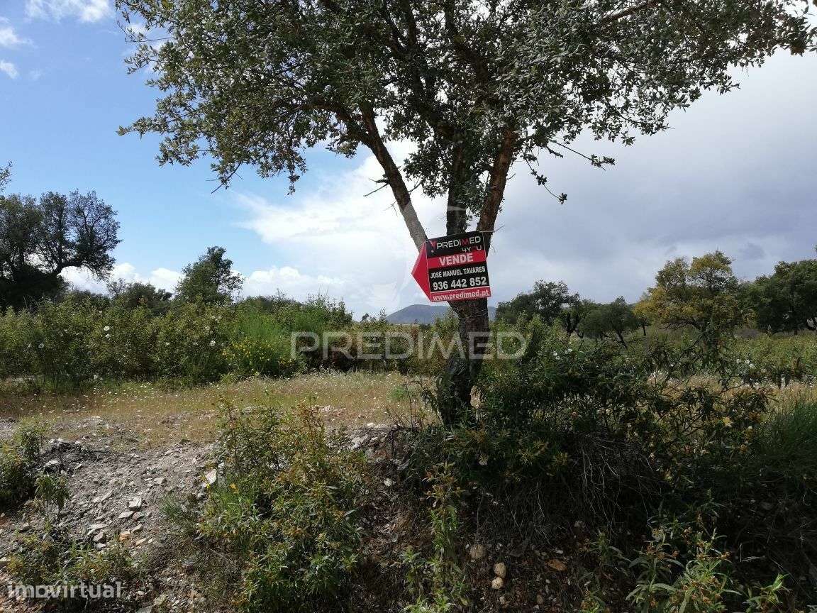 Terreno Rústico em Montalvão - Grande imagem: 4/5