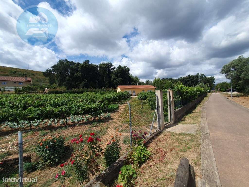 Quintinha à venda- Arco de Baúlhe-4