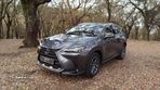 Lexus NX 450h+ Executive+ - 1