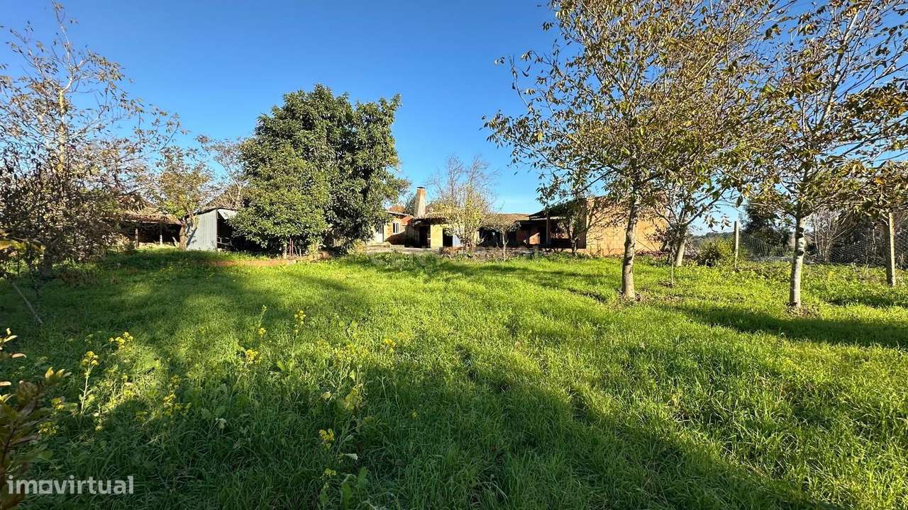 Casa para Recuperar em Oiã, Oliveira do Bairro-11