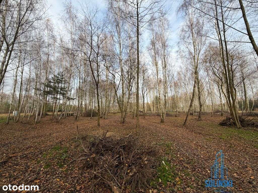 Bezkonkurencyjna działka z dostępem do rzeczki-1