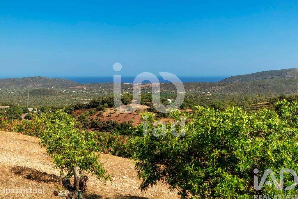 Casa / Villa T3 em São Brás de Alportel de 285,00 m2 - Grande imagem: 4/30