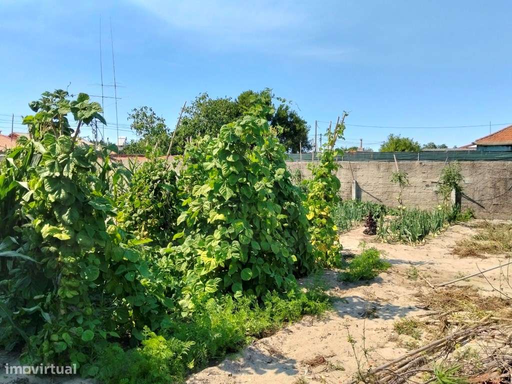 Terreno para construção - Gafanha do Carmo-11