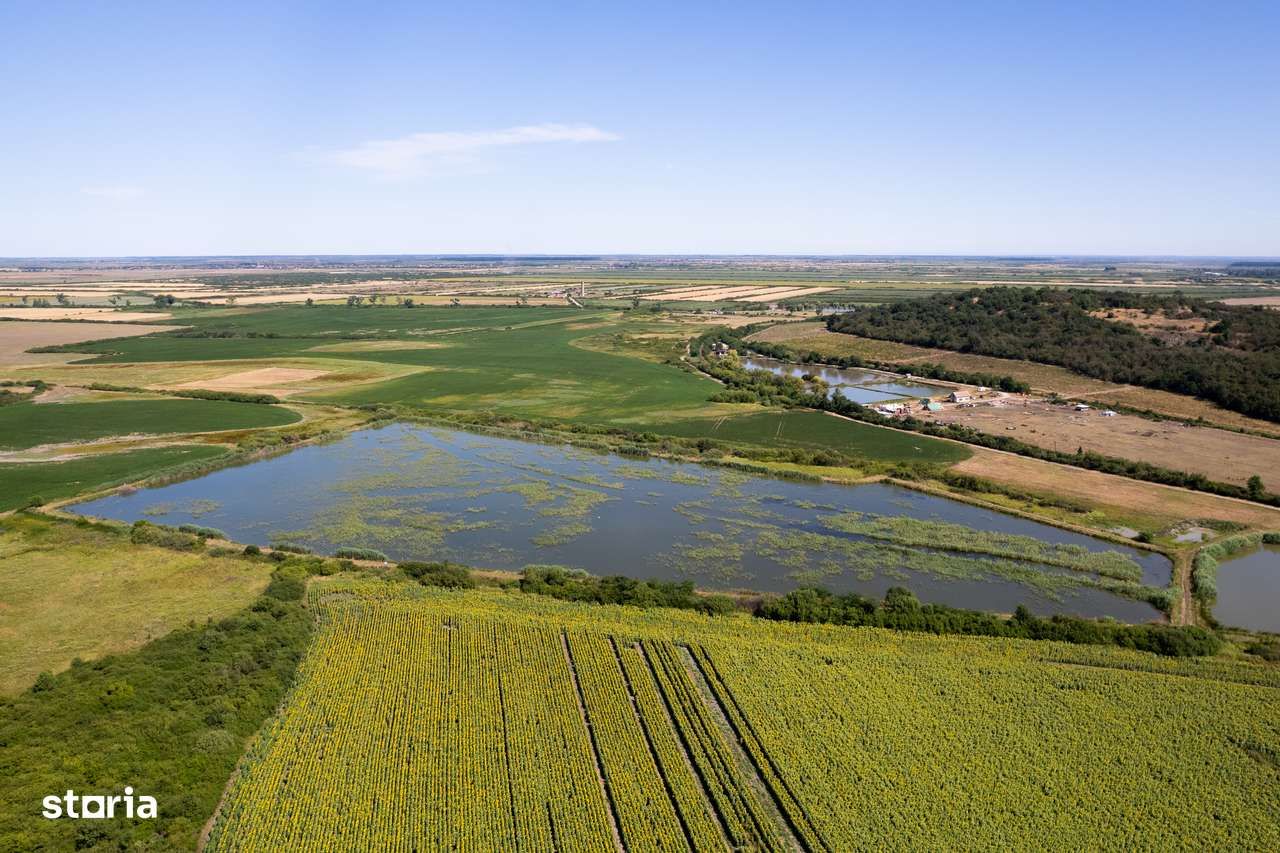 Pescarie/zona de agrement 66.500 mp - Ineu Comision 0% - Imagine principală: 4/5