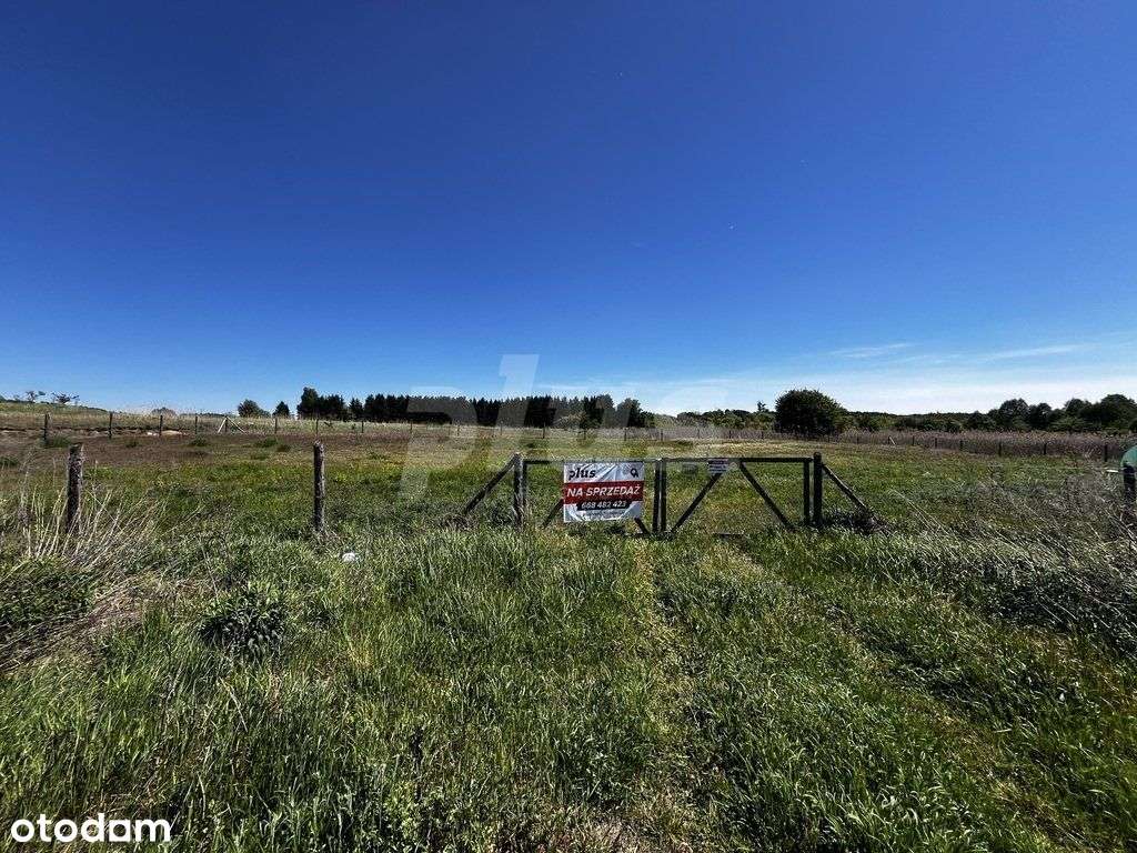 Duża działka warunki zabudowy gm. Chojna - Pełny obrazek: 5/5