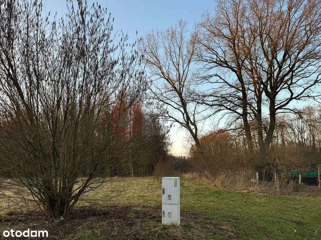 Błotny Młyn 903 m2 działka przy lesie na sprzedaż!-5