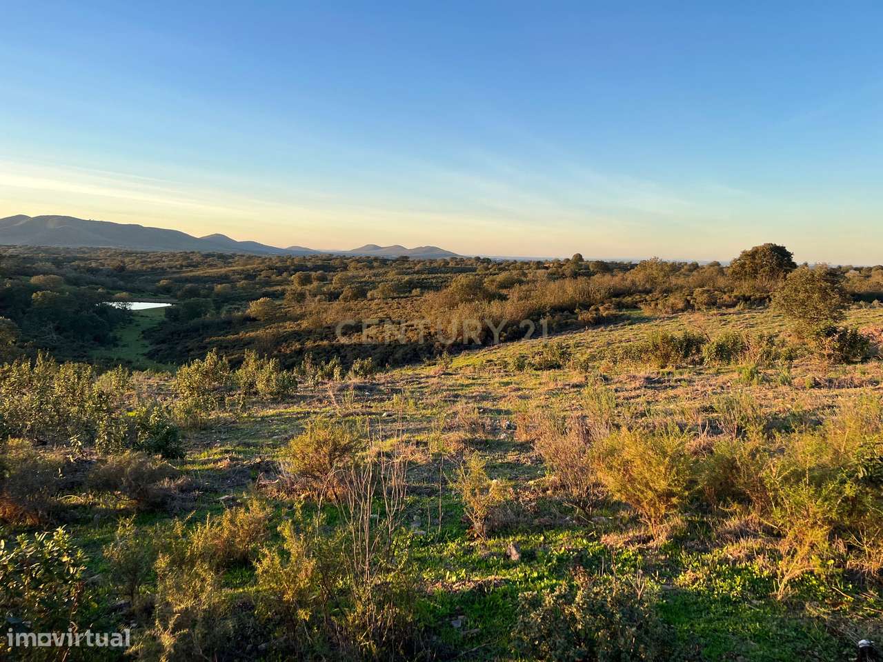 Terreno Montado Sobreiros/Azinheiras , 43 Hectares, Vale de Grou - Sob - Grande imagem: 5/26