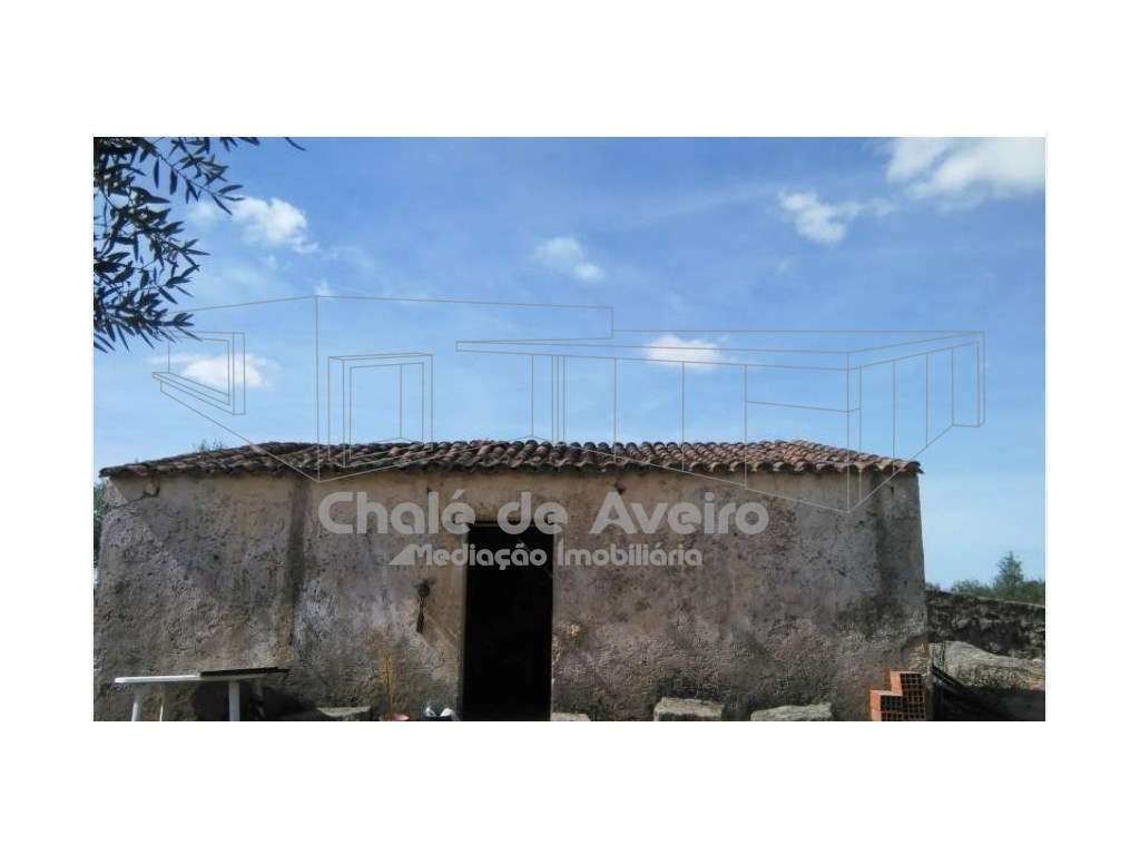 Herdade em Portalegre Com 200 Oliveiras (Nisa)-6