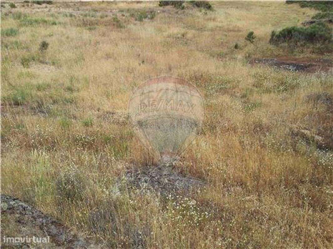 Quinta T0 para venda - Grande imagem: 5/17