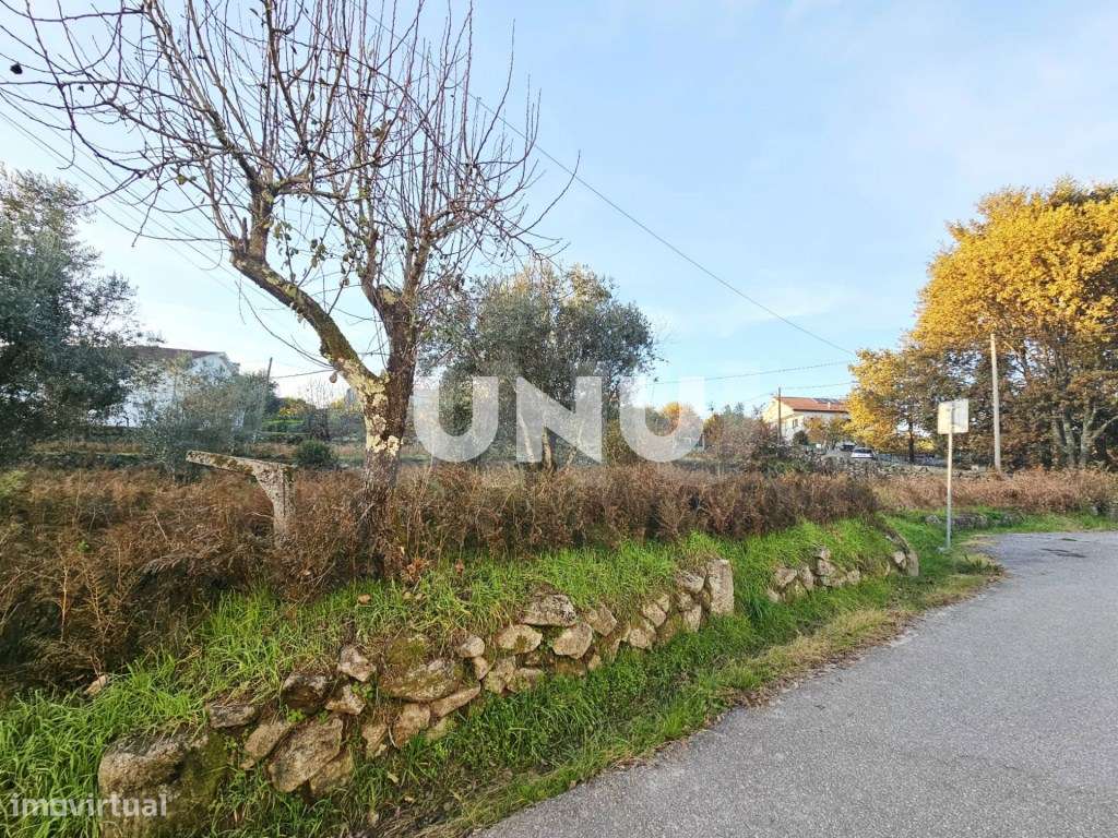 Terreno Rústico - Possibilidade de Construção-7