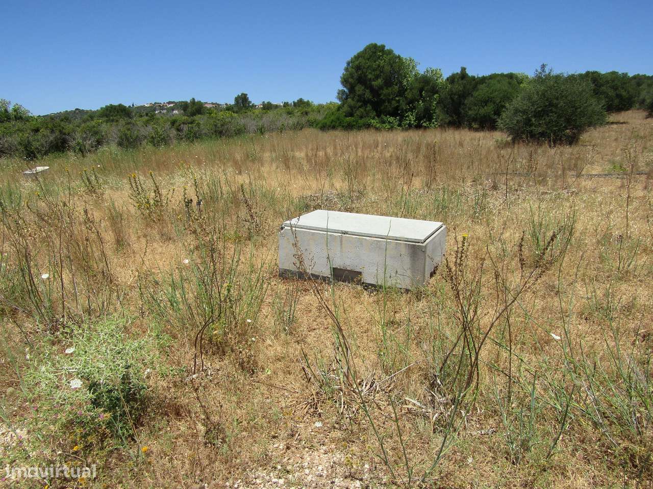 Terreno Rústico - Grande imagem: 3/8
