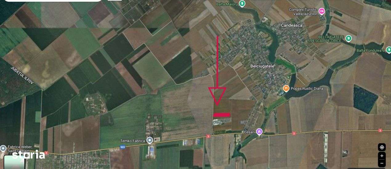 Teren intravilan Belciugatele*300 m de DJ503*Linie de tensiune medie* - Imagine principală: 5/8