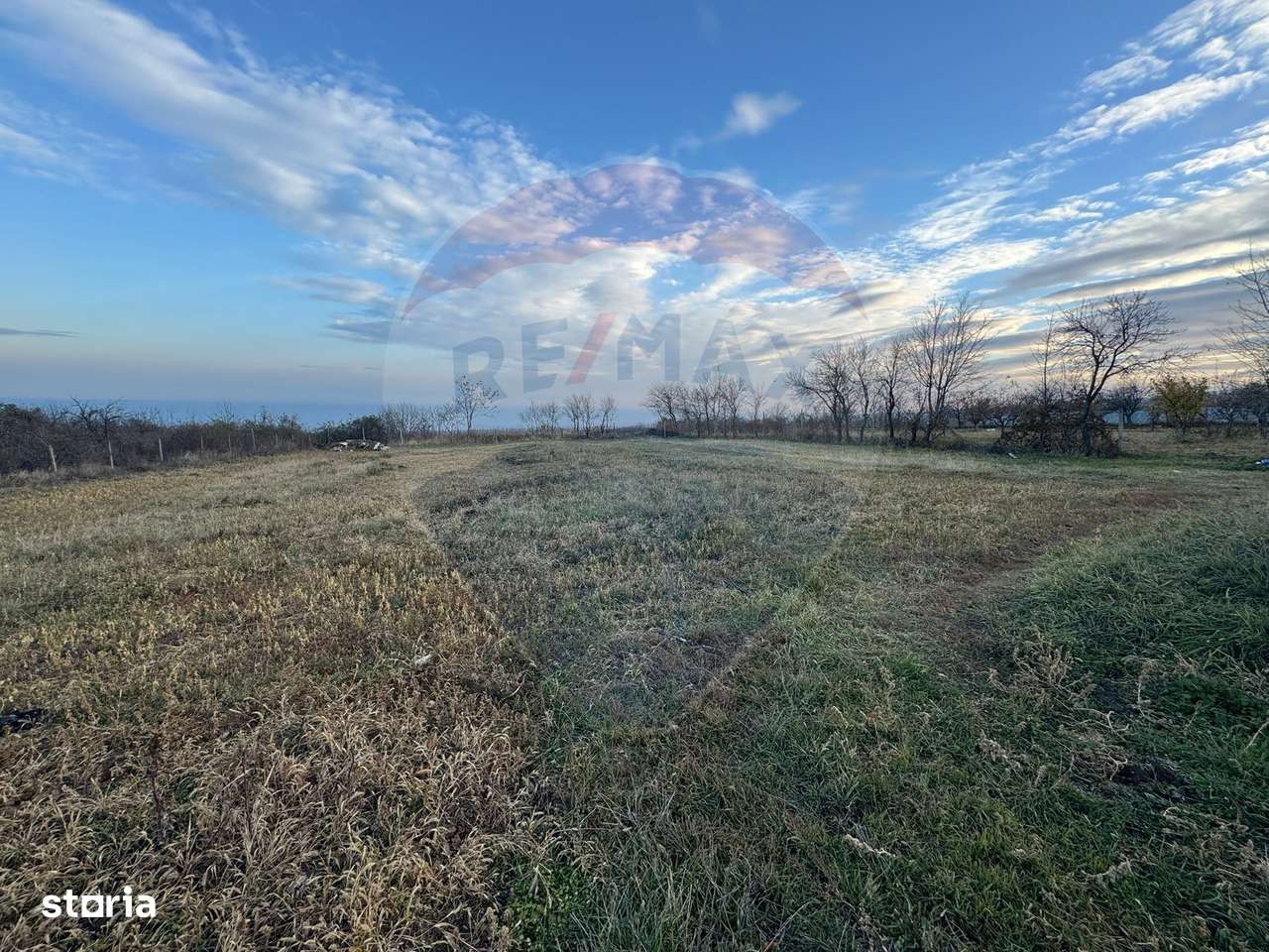 Teren 2636 mp în  Pădureni /Jariștea - Imagine principală: 4/5