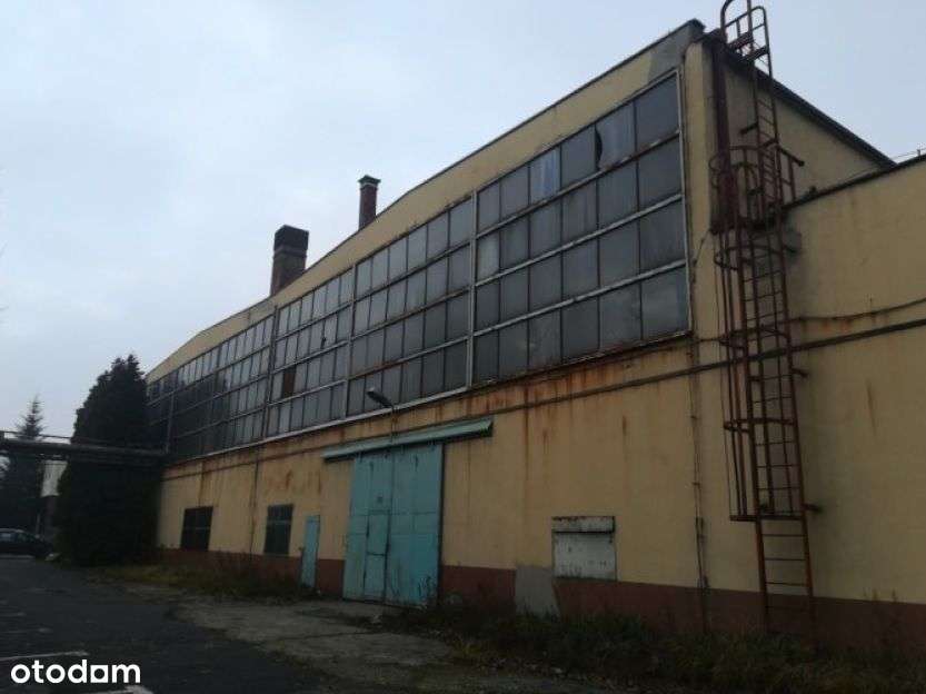 Hala produkcyjna - Pełny obrazek: 2/3