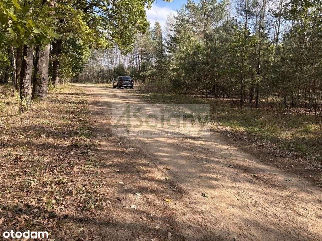 Działka budowlana w okolicach Czosnowa - Pełny obrazek: 5/12