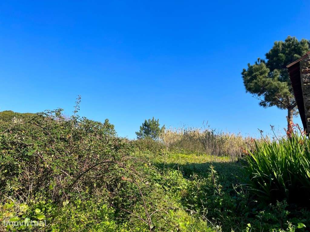 Terreno urbano com 1150m2 na Serra do Bouro, muito perto de Salir d... - Grande imagem: 5/15