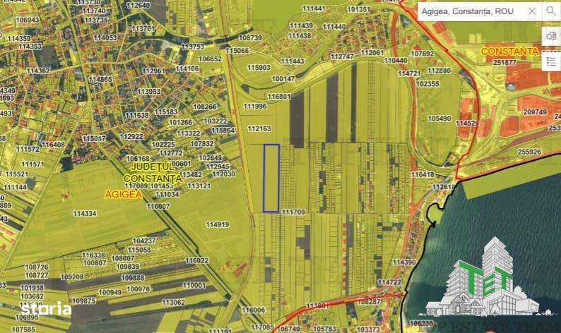 TEREN INTRAVILAN 50000 MP AGIGEA ZONA RO RO - Imagine principală: 1/10