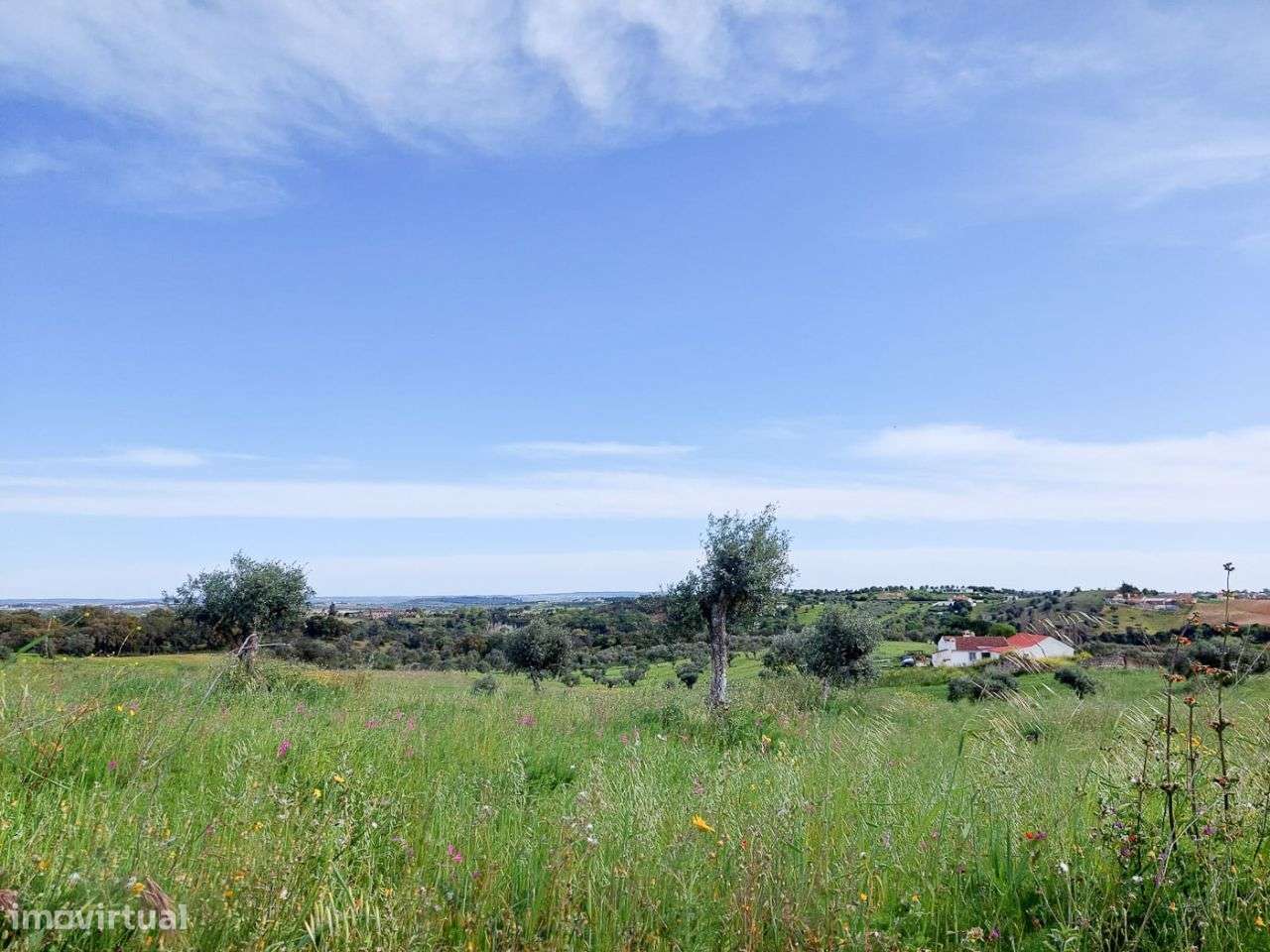 Terreno de 14.020m2 com Ruína Inserida - Grande imagem: 3/8