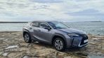 Lexus UX 300e Luxury - 7