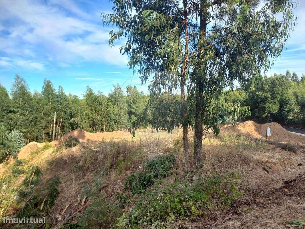 Terreno  para venda - Grande imagem: 4/4